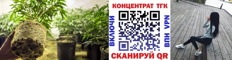ТГК вейп  сколько стоит  shop состав  Кунгур 